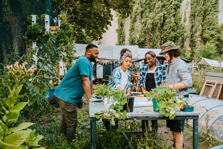 Group of friends help set up a small garden in a backyard